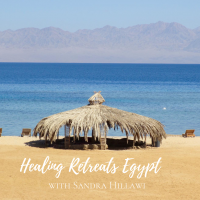 2023 to 2024 14 Days Weight Loss and Detox Retreat Sinai 2023 to 2024 14 Days Weight Loss and Detox Retreat Sinai