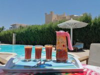 Photos from June 2023 Healing Retreat Hurghada Photos from June 2023 Healing Retreat Hurghada
