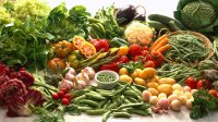 What is Natural Healing? What is Natural Healing?