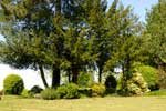 UK Healing Retreat Venue Rostherne House Cheshire