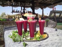 Christmas and New Year Detox Yoga Healing Retreat 2010 Christmas and New Year Detox Yoga Healing Retreat 2010