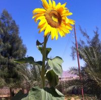 Juicing for Weight Loss Retreats Juicing for Weight Loss Retreats