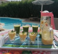 2024 Detox Healing Retreats Hurghada Egypt 2024 Detox Healing Retreats Hurghada Egypt